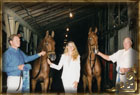 Yearlings